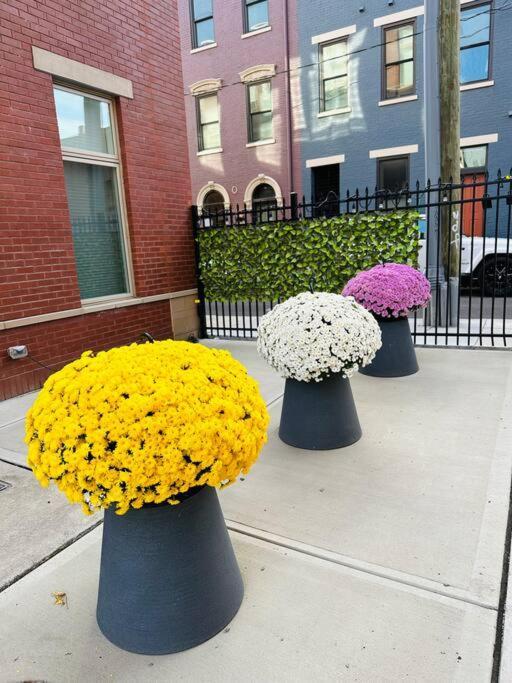 **New Modernlux Best Otr Condo *Park Onsite** Cincinnati Exterior foto